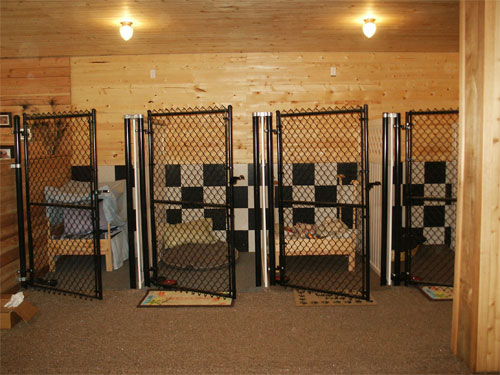 Home Page Image