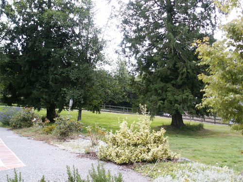 Home Page Image